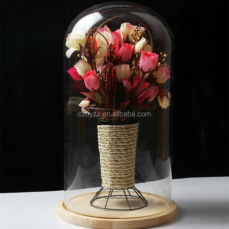 glass dome (22).jpg