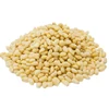 siberian pine nuts prices/specification/wholesale