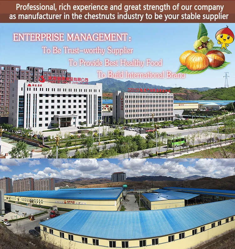 good factory price hebei qinglong chestnut