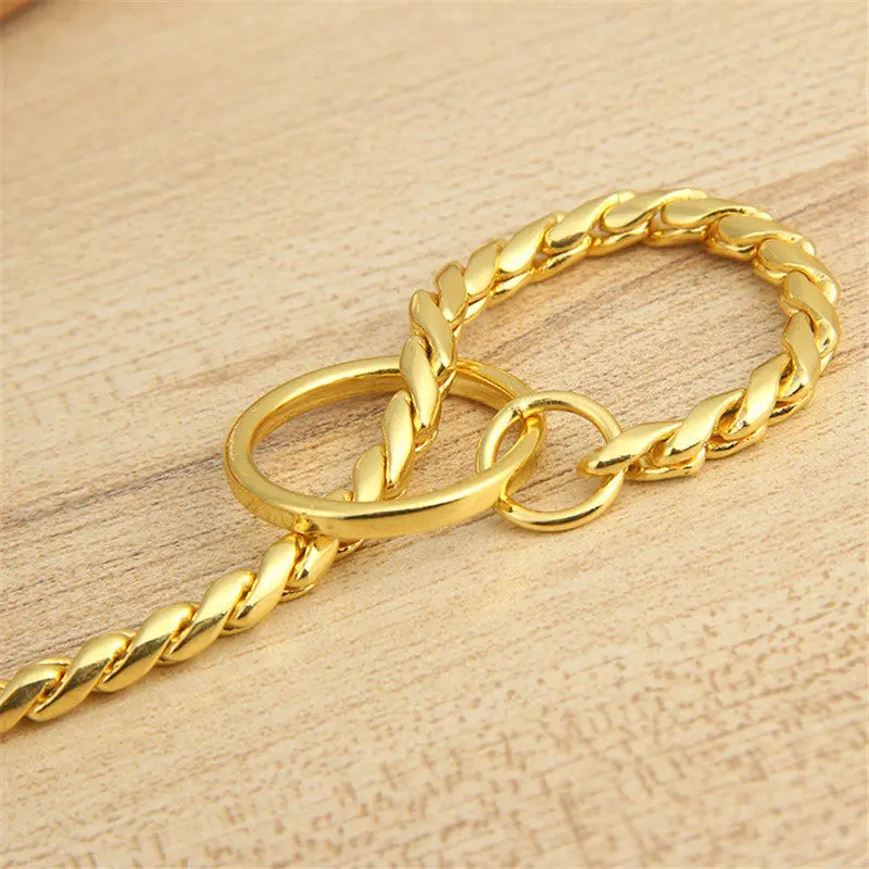 dog show snake chain