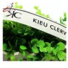 Factory Eco-friendly Customizes Okeo-Tex Competitive Price Nylon Elastic Band