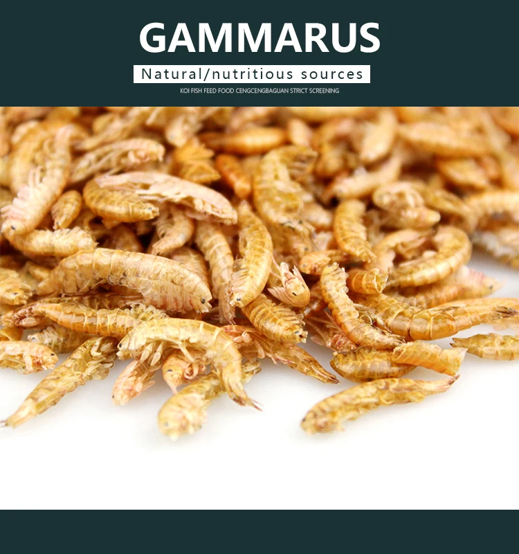 Gammarus Turtle Feed Brazilian Turtle Shrimp Dry Food Chinese Grass