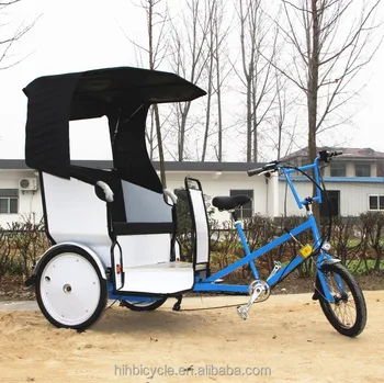 bike carriage for adults