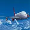 Maoming to Israel Professional Freight Forwarder, Warehousing/Export Customs Clearance, ESW/FOB/DDU/DDP/door to door