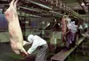 pig processing machine line / pig slaughter processing machine