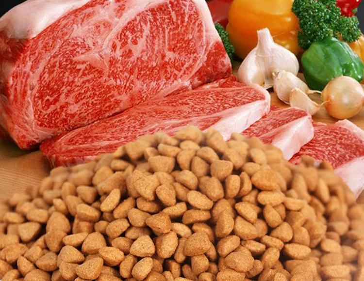 iams canned dog food