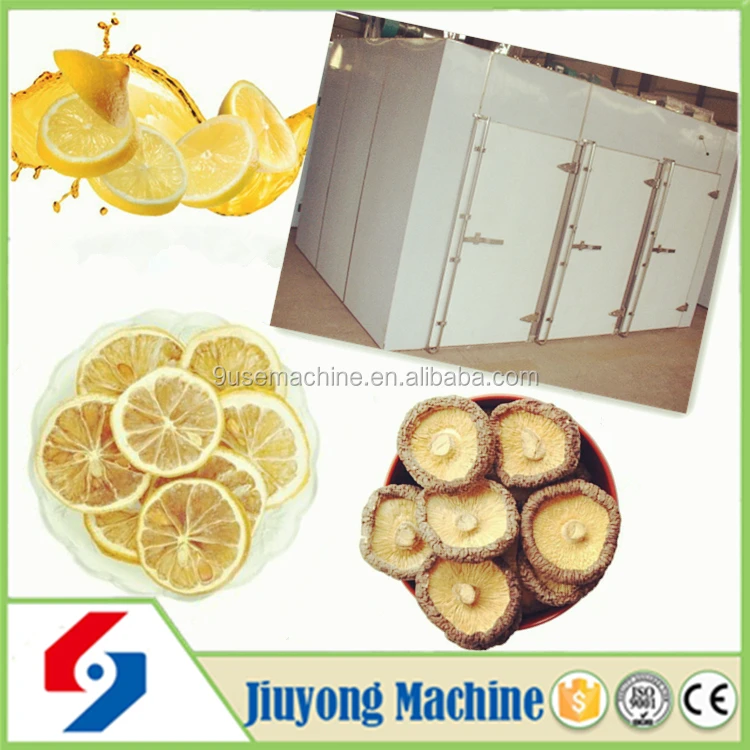 dried fruit dryer 