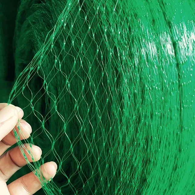 Extruded Green Anti Bird Net For Agricultural - Buy Green Bird Net For