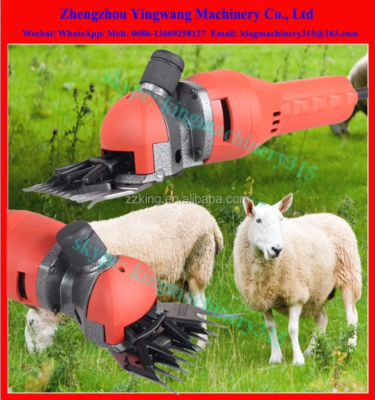 electric sheep shears (8)