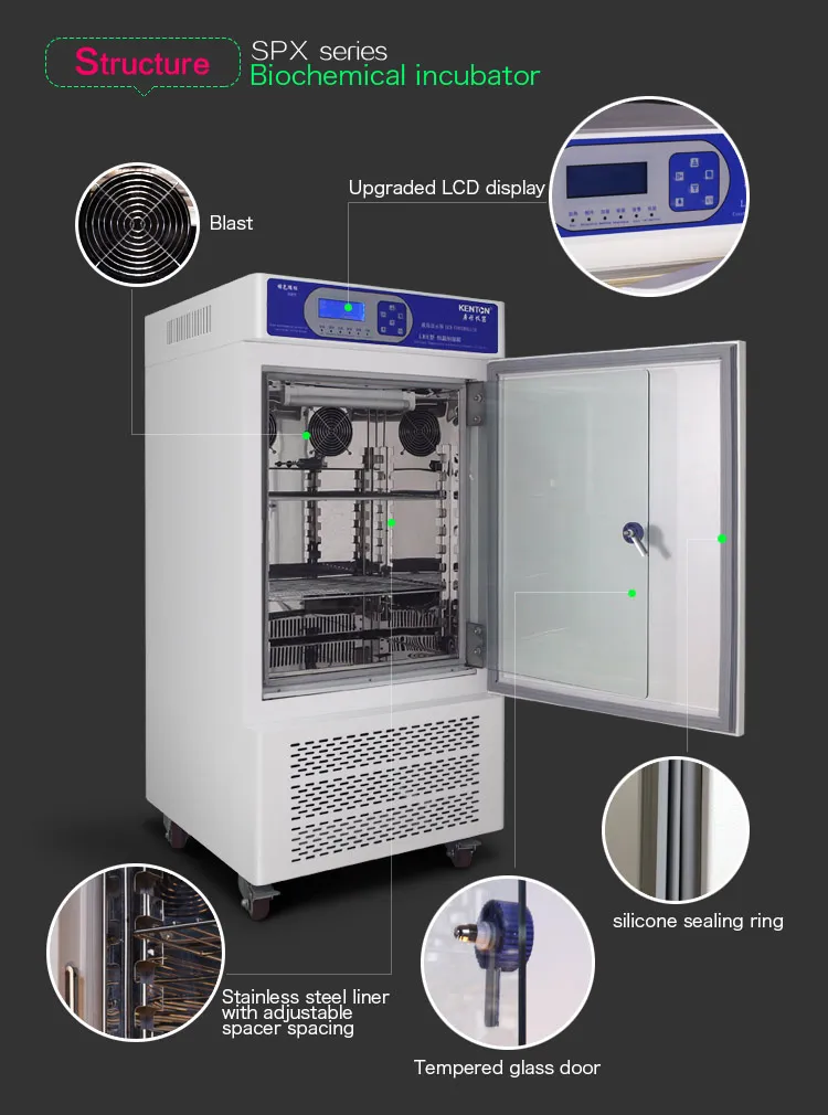 Laboratory Yogurt Incubator Biochemical Incubator Bod Equipment