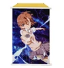 60*90cm Hot Sale Decoration Wall Poster Toaru Kagaku no Railgun Cartoon Wall Scroll Decoration Fancy Wallscrolls