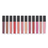 

Private Label Your logo Waterproof Non-stick Cup Matte Liquid Lipstick