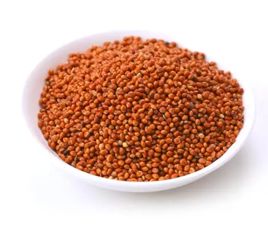  Red Broomcorn Millet.jpg