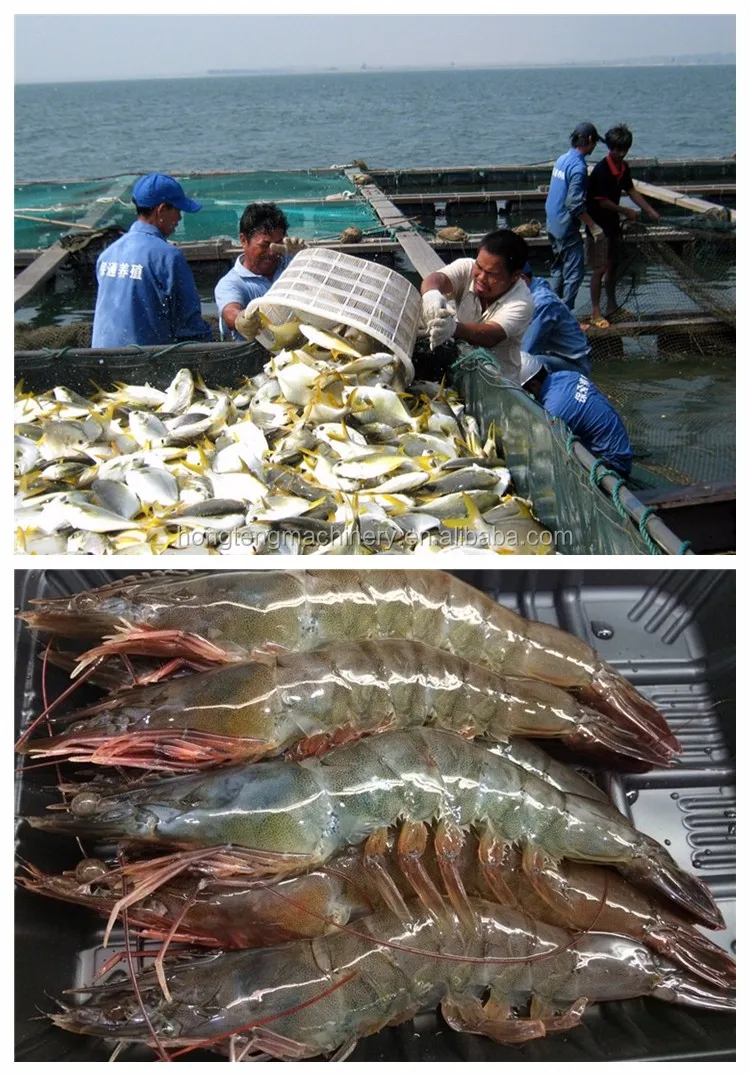 Aquaculture Machine Aerators (3).jpg