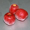 In order to healthy select organic health quick-frozen hawthorn berry fresh fruit