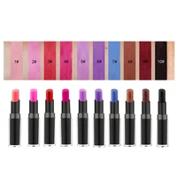 

Private Label Long Lasting Cosmetic 10 Colors Solid Matte Lipstick