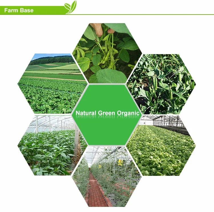 Bulk organic frozen edamame iqf cheap soybeans for sale