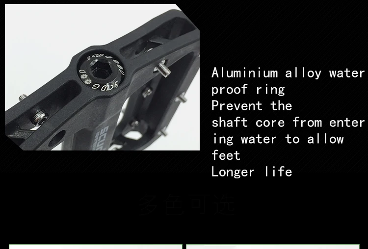 xq_04.jpg