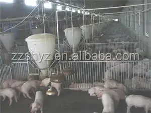 Animal Pig Feeder Swine Farrowing Pen Design Buy Swine