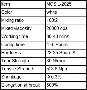 MCSIL-2025