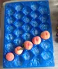 China Professional Manufacturer&Exporter Free Samples Offered PP Fresh Peach Fruit Tray Packaging