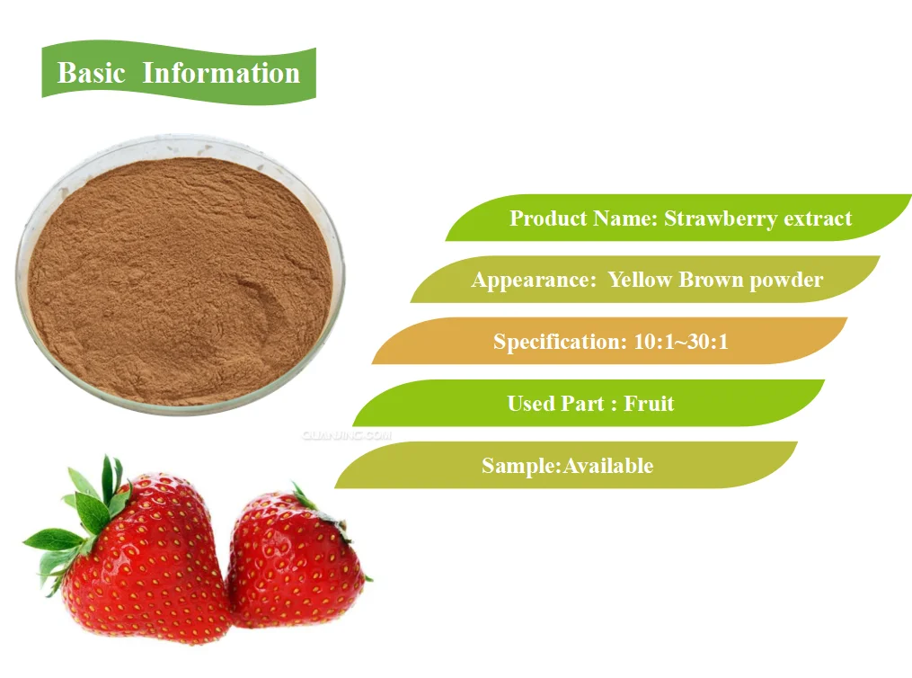 Kosher Top Quality Strawberry Extract Polyphenols Powder Buy