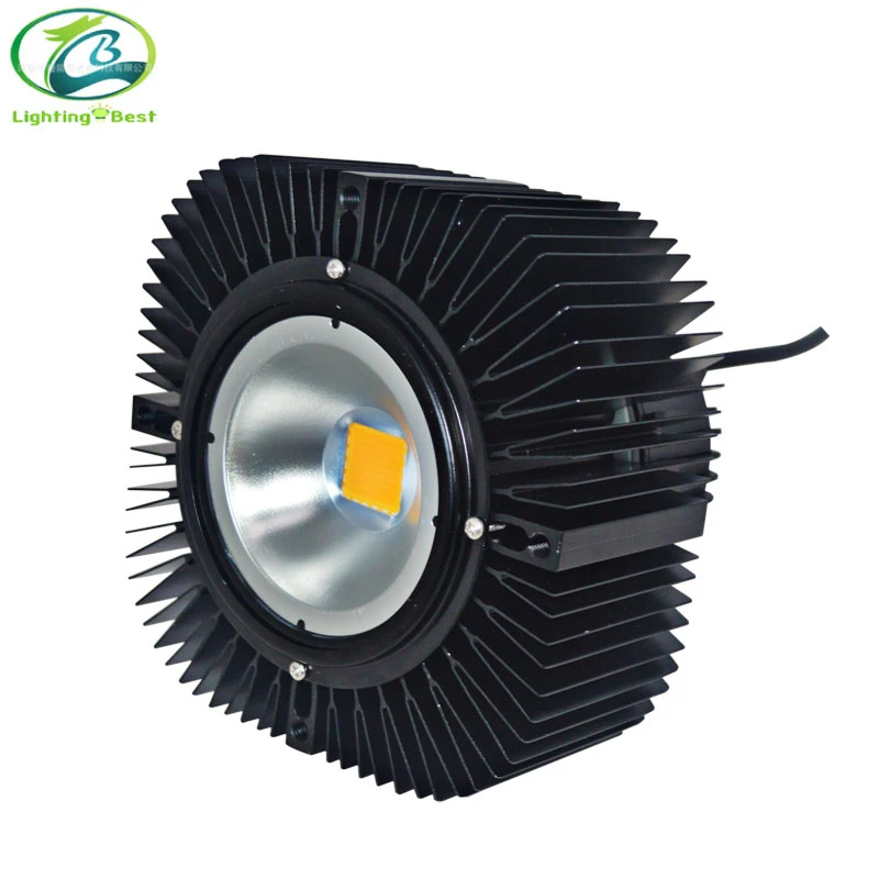 
High power NICE quality LED flood lights, Classical 100W LED COB flood lights module design, easy assembly DYI 100W, 200W, 300W 
