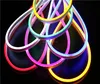 New arrive waterproof IP67 Flex Neon LED RGB 110v 220v led neon with CE RoHs