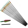Archery Bow Fiberglass Arrow Recurve Bow Traditional Archery Competed with Plastic Vanes for Compound & Recurve 30"