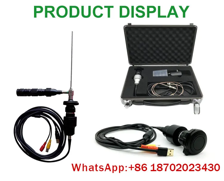 IN-P031