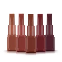 

Private logo brown square lipstick kit long lasting matte lipstick stick