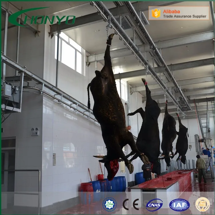 Ce Approved Cattle And Sheep Slaughterhouse Equipment With Cold Room