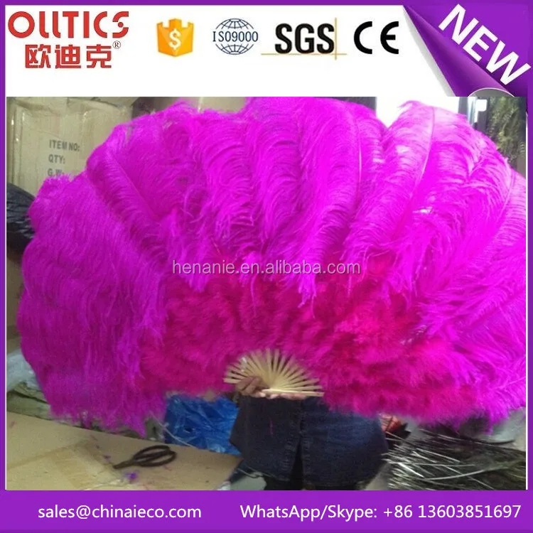 ostrich feather fan0 .jpg