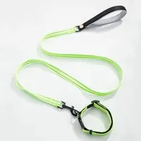 

Nylon Braided Dog Leash And Collar Spray Dog Collar Leash Neon Color