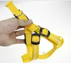 15mm dog lead Square circle line rope with 2.5cm dog harness pet harness