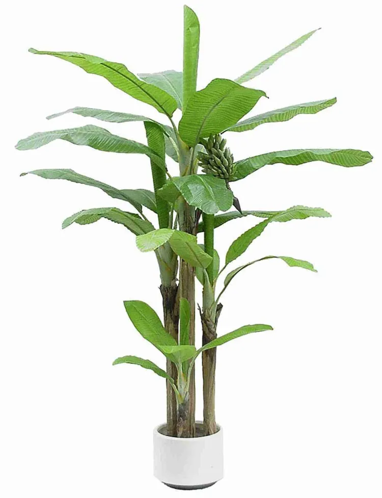 artificial banana leaf plants decorated banana tree evergreen