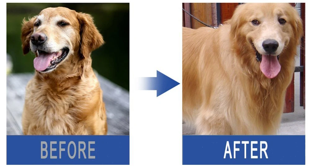 dog Grooming Gloves 5.jpg