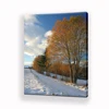 Beautiful Gallery Wrap Art Winter Snow Picture Countryside Canvas Print Painting