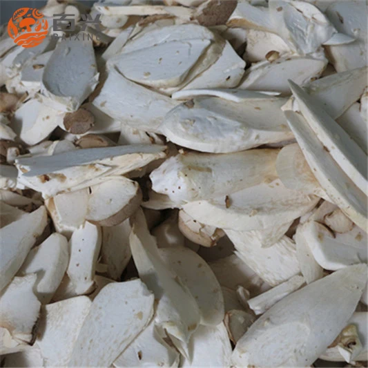 
Middle size fresh king oyster mushroom spawn 