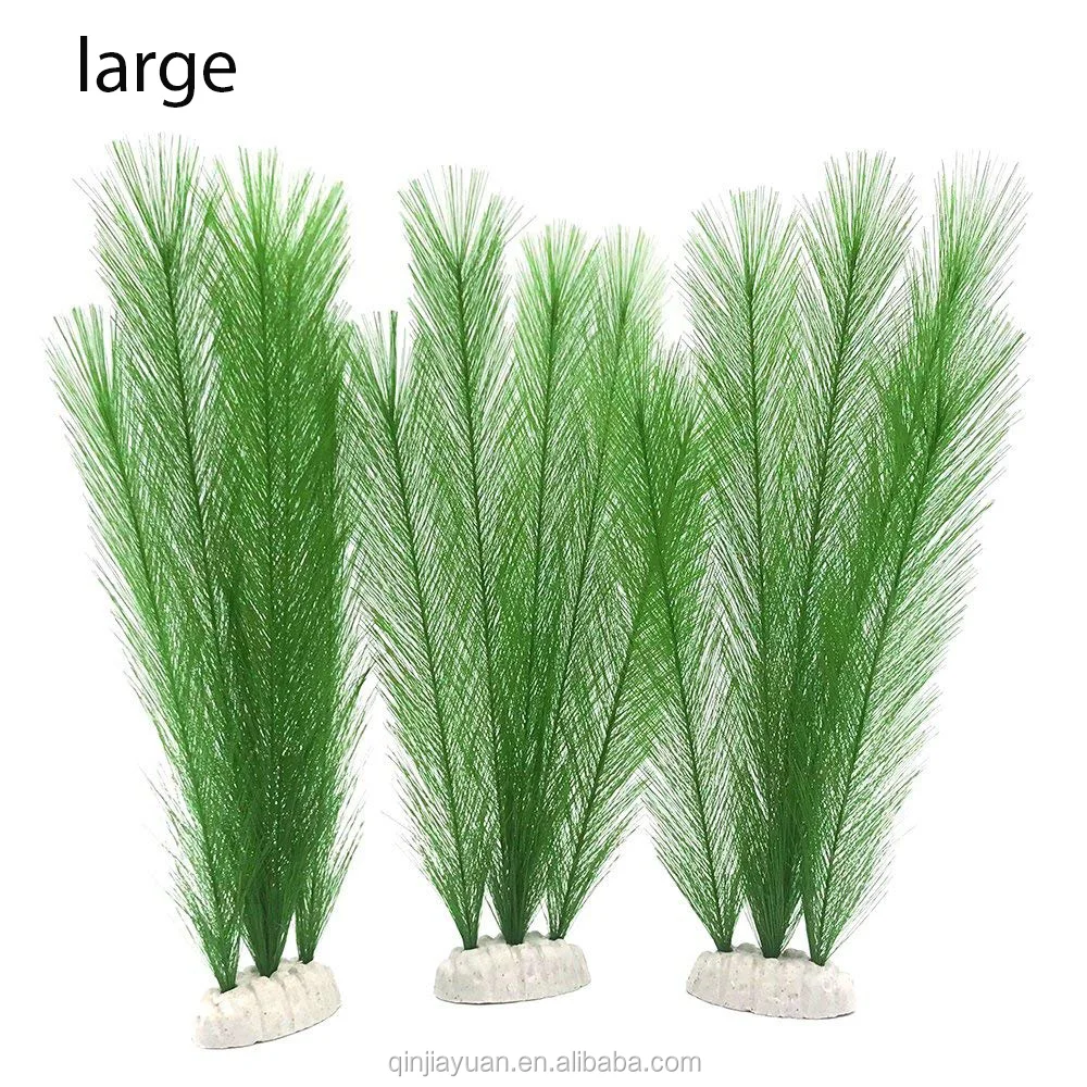 81ZlbxJgBpL._SL1000_.jpg