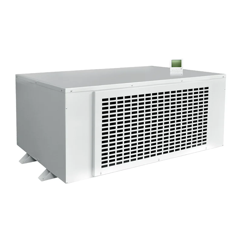 
480L/day Ceiling Industrial Pool Ducted Air Conditioning Dehumidifier Price 