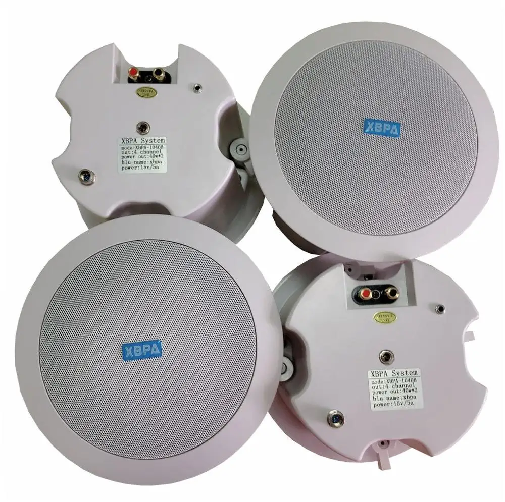 Ceiling And Wallmounted Wireless Rj45 + Wifi Audio Receiver Speaker