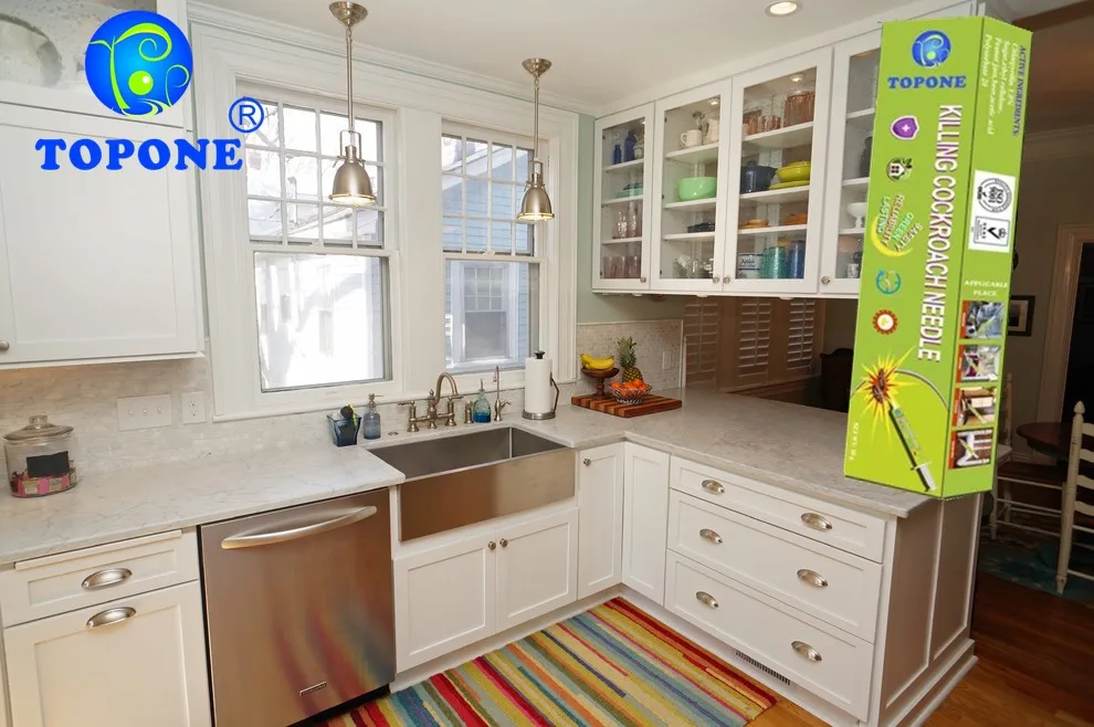 TOPONE Cockroach gel baits syrine free plunger and tip cockroach killer