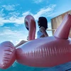 0.3mm PVC Rideable Inflatable Swan Floats Giant pool floats and loungers