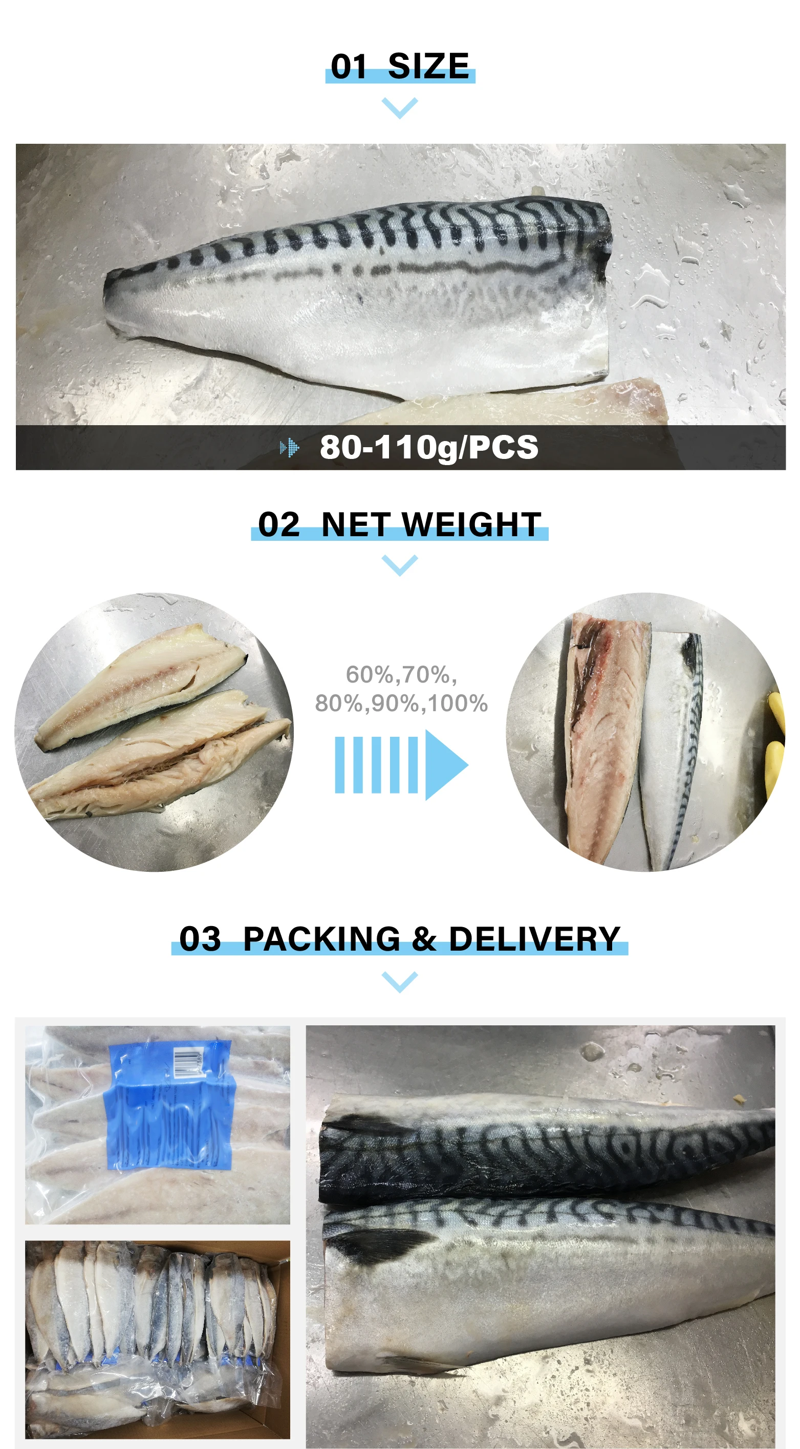 High Grade Sea Frozen Salted Pacific Mackerel Fillet Sea Frozen