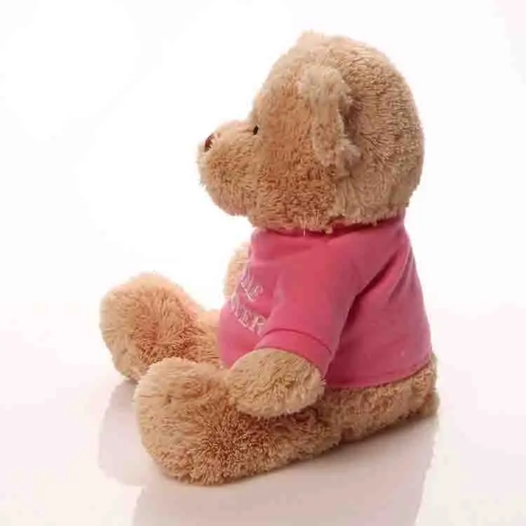 30cm teddy bear