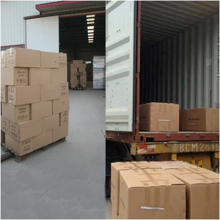 paste-pic-dp_uuid_85hhl