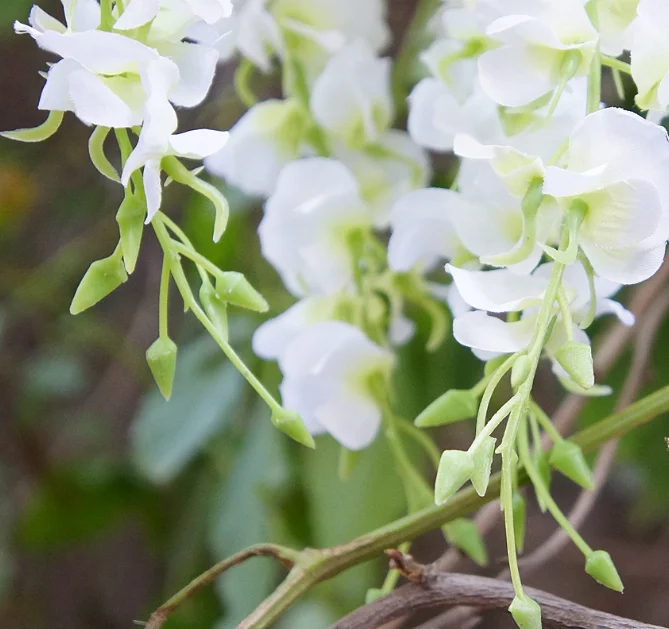 Wholesale Artificial Hanging Wisteria Silk Flower Length 120cm For