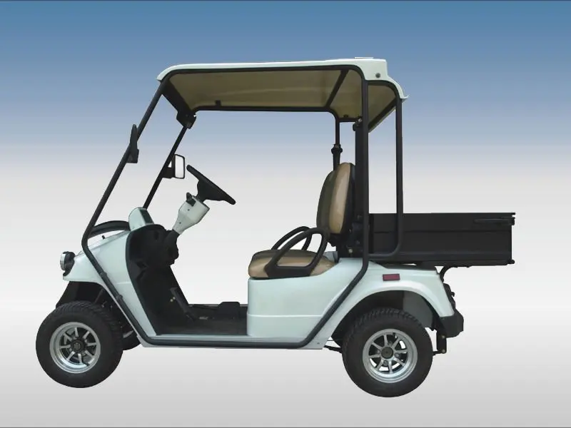 Electric Utility Golf Cart With Cargo Box,Ce Approved,Eg2048h Buy