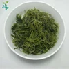 /product-detail/fresh-salted-wakame-leaf-seaweed-60832079165.html